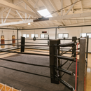 Professional Black Boxing Ring Canvas