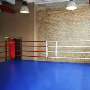 Blue Professional Boxing Ring Canvas installed in a combat sports ring, showcasing its perfect fit and durability for boxing, MMA, and wrestling.